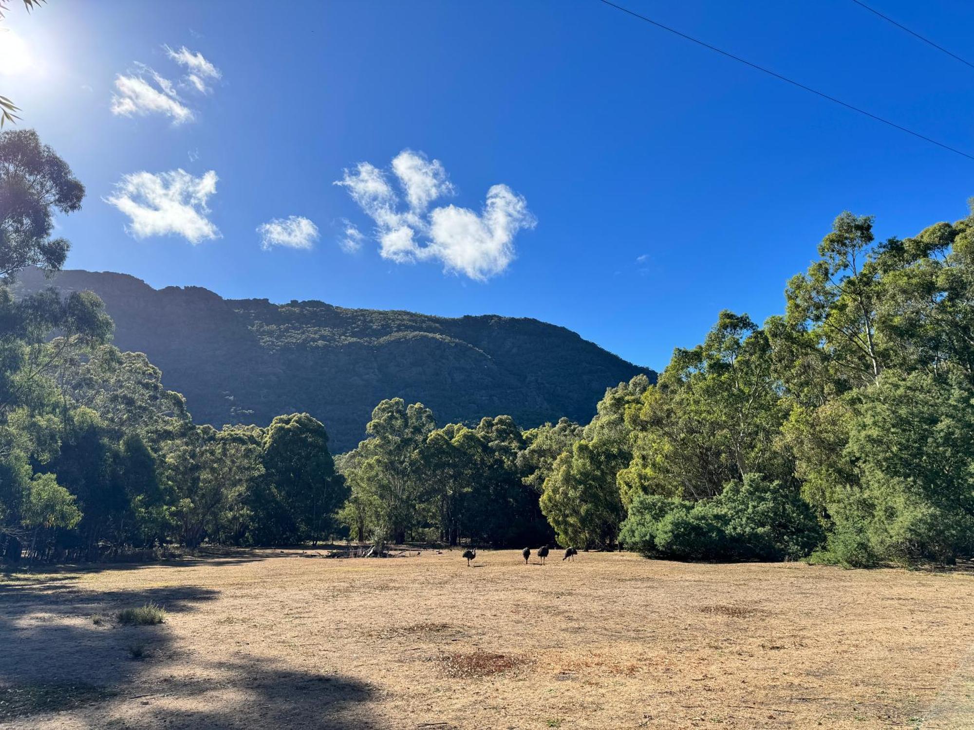 Halls Gap Log Cabins Bagian luar foto