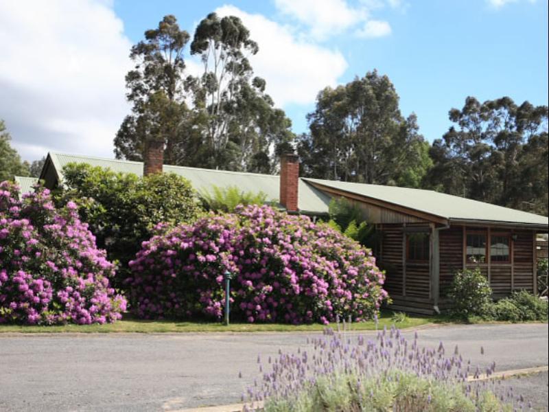 Halls Gap Log Cabins Bagian luar foto